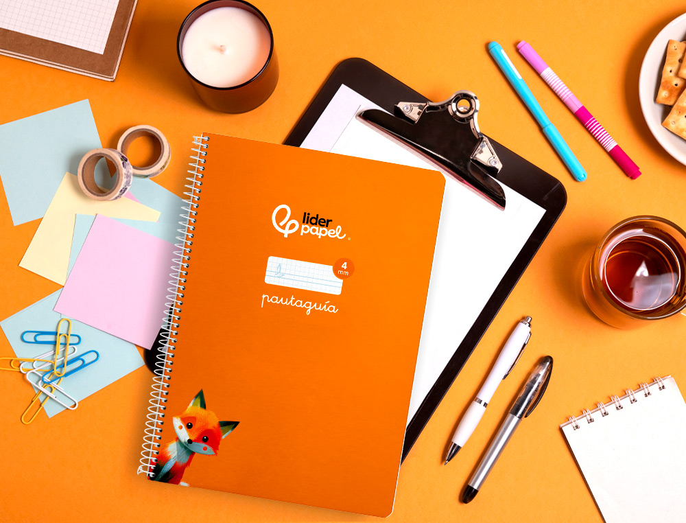 CUADERNO ESPIRAL LIDERPAPEL A4 PAUTAGUIA TAPA BLANDA 80H 75 GR CUADRO PAUTADO 4MM COLOR NARANJA