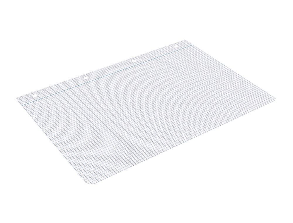 RECAMBIO LIDERPAPEL A4 100 HOJAS 75GR CUADRO 4MM CON MARGEN 4 TALADROS